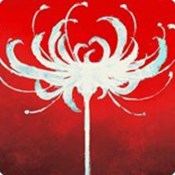 三国跑跑-无限特权